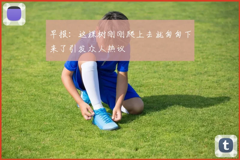 早报：这棵树刚刚爬上去就匆匆下来了引发众人热议